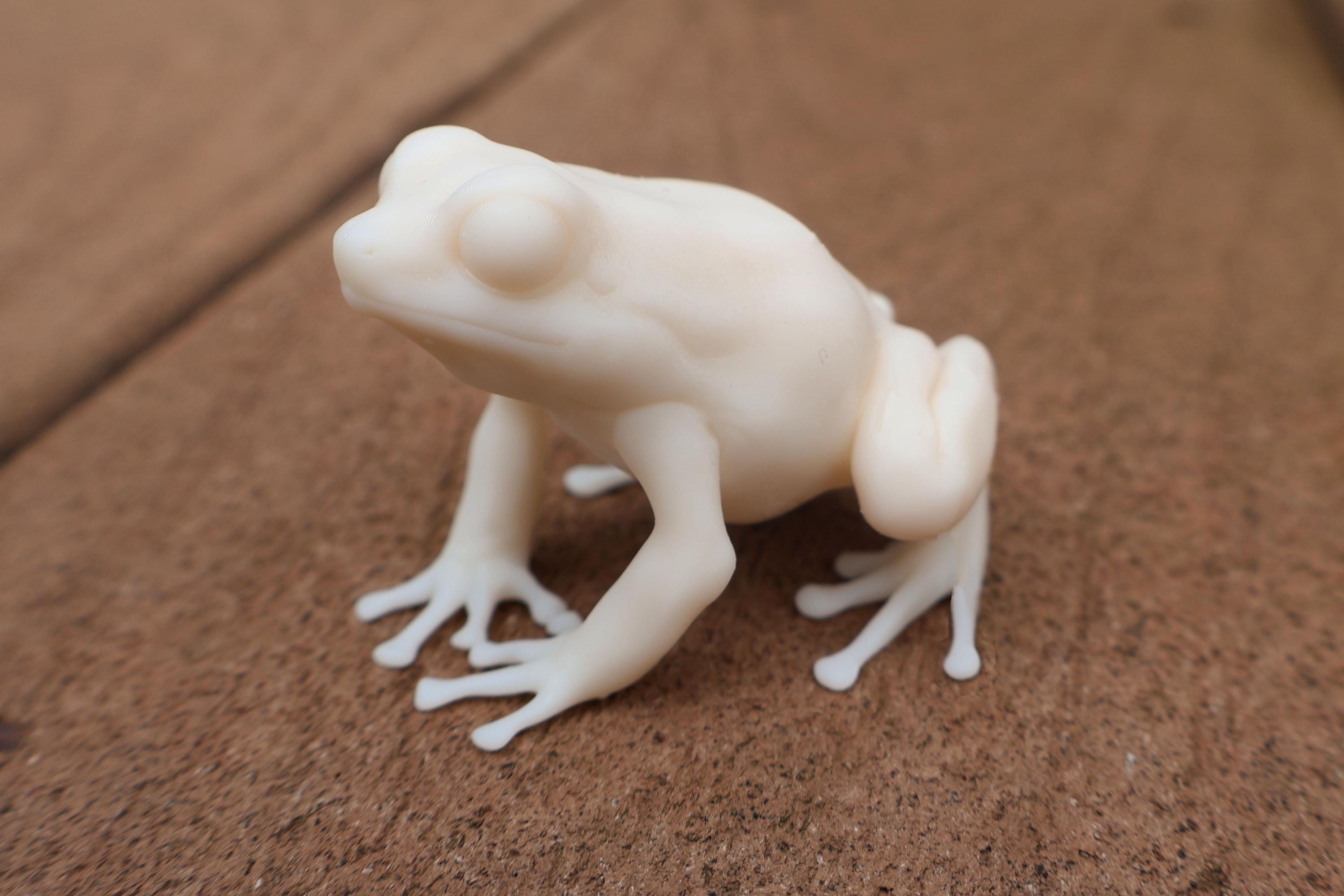 脳の形 カエル フィギュア ホワイト ヤドクガエル - 手描き樹脂製カエルの置物 - 複数種 - Etsy 日本