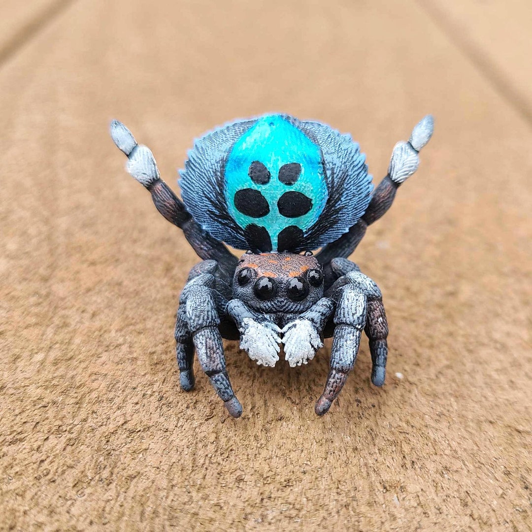 Black-spotted Peacock Spider Figure - Hand Painted Resin Spider - Etsy