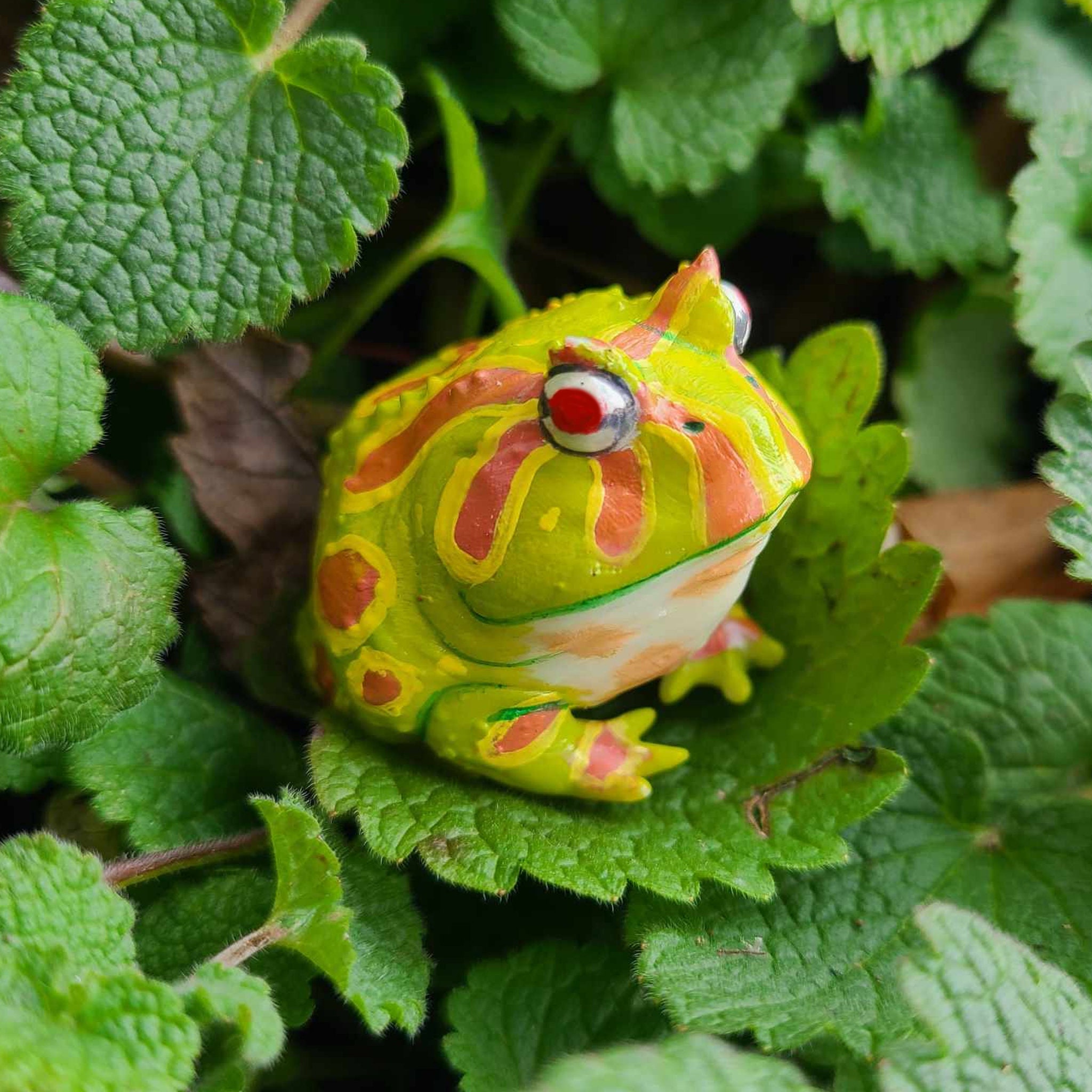 Albino Pacman Frog Figure Realistic Handpainted Resin - Cute Desk Pet ...