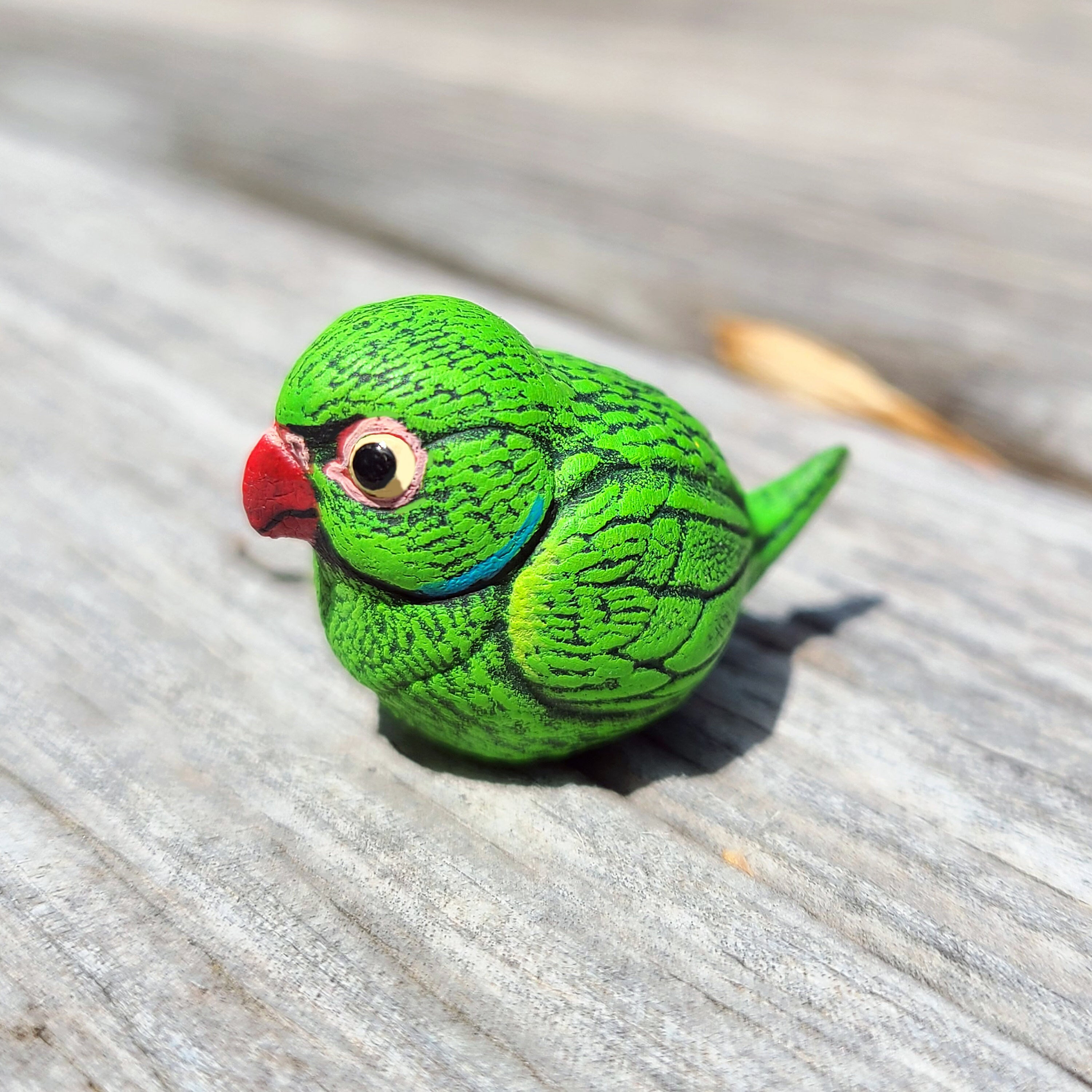 Ringneck parrot België