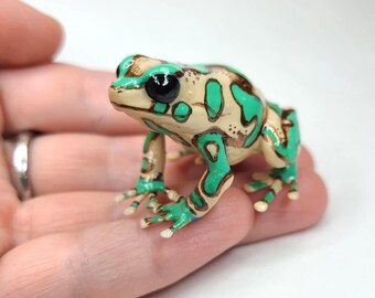 ハイランドブロンズ ダートフロッグ - Dendrobates auratus - 手描き