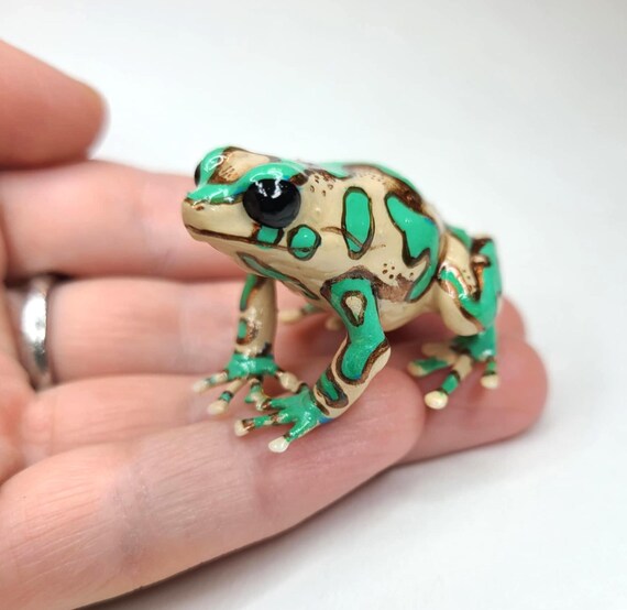 ハイランドブロンズ ダートフロッグ - Dendrobates auratus - 手描き