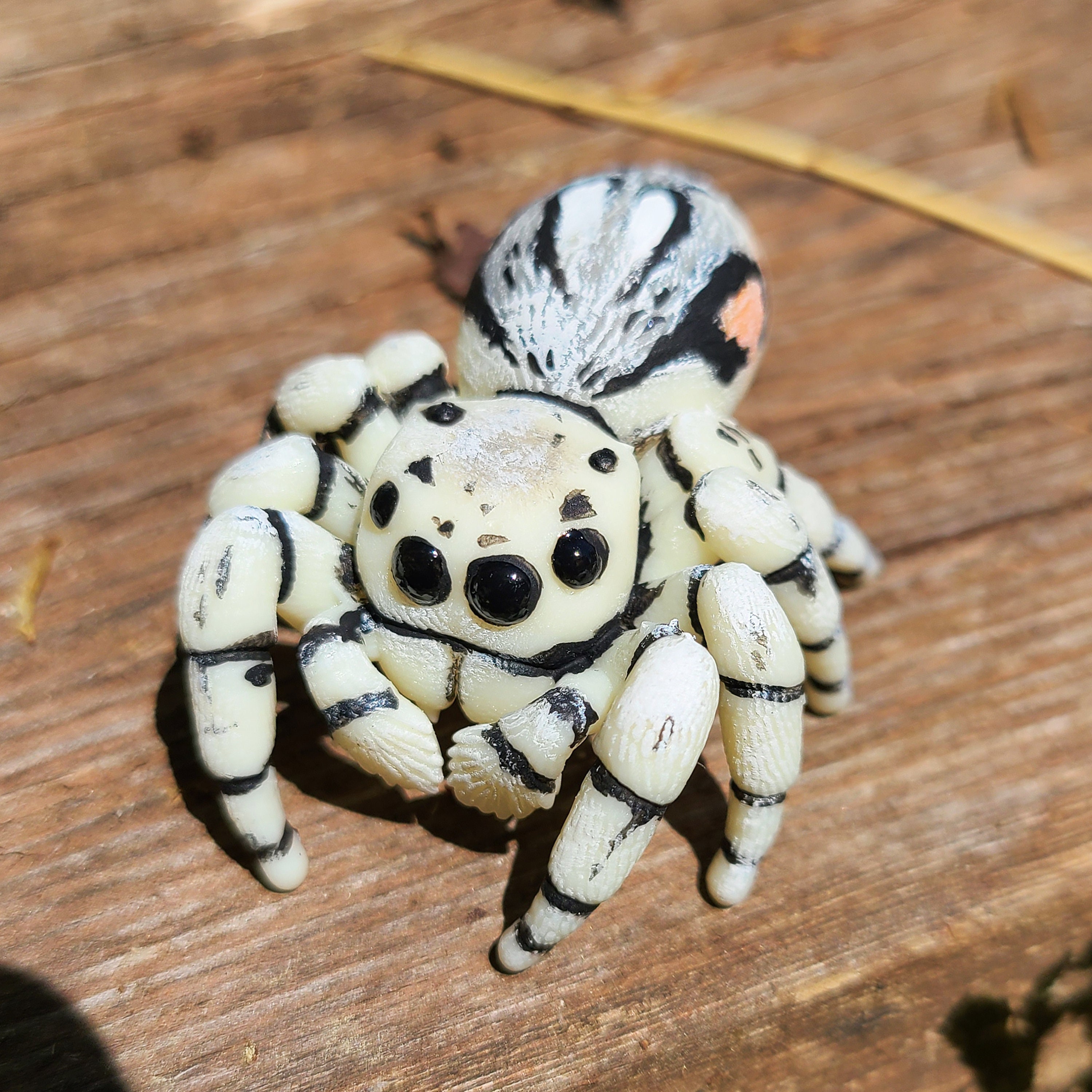Paraphidippus Fartilis Jumping Spider Figure -saltarina Blanca