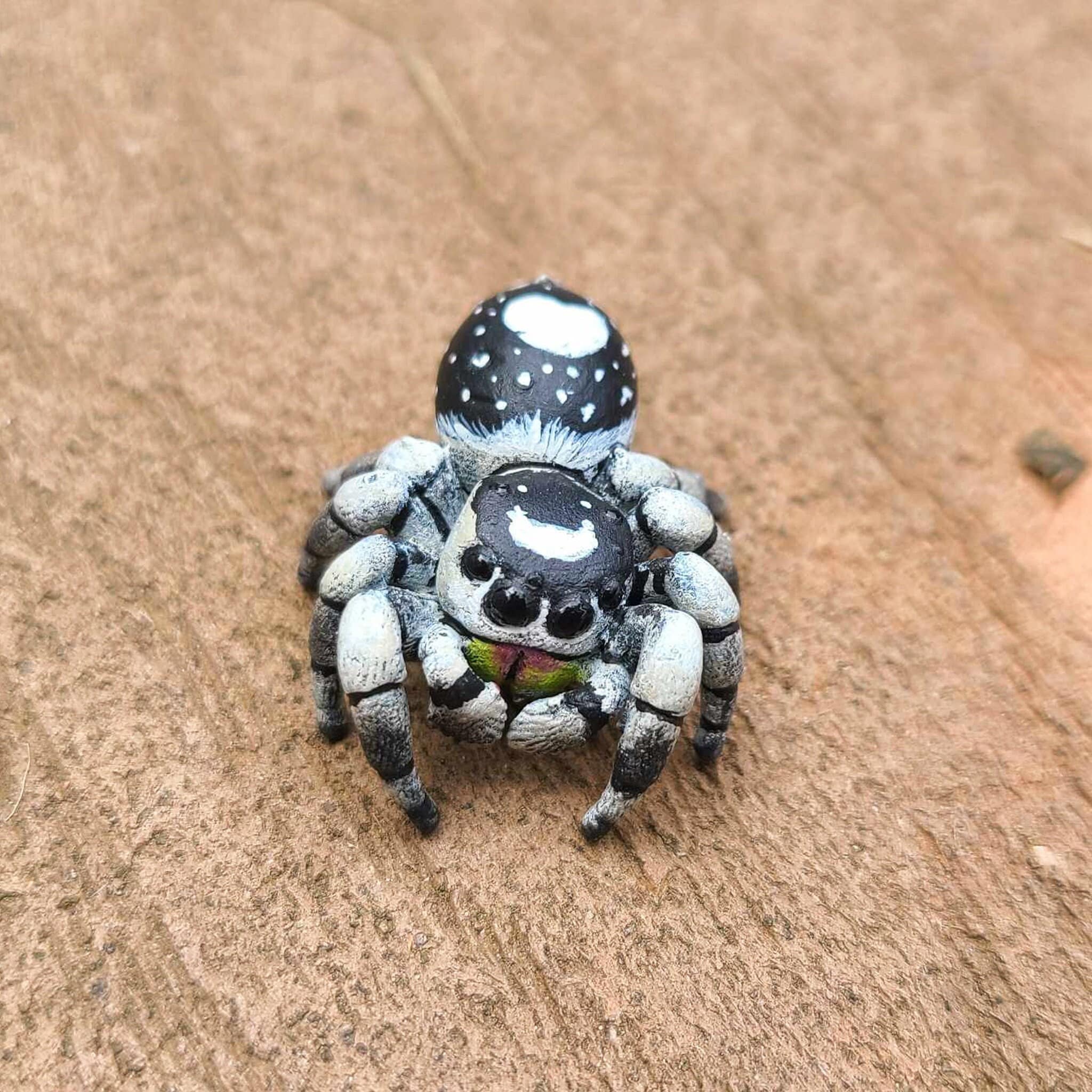 アパラチコラ リーガル ジャンピング スパイダー フィギュア