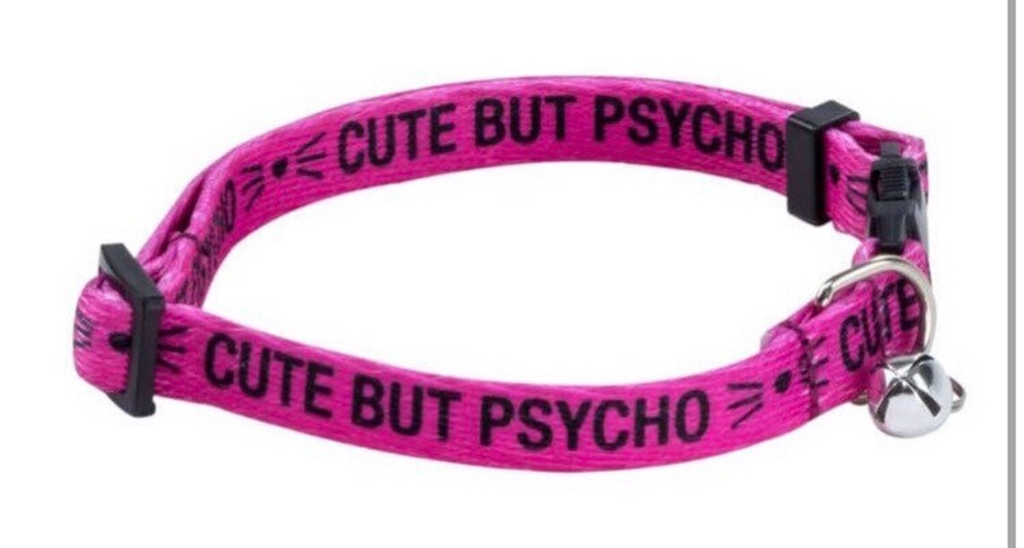 Funny cat collar Etsy