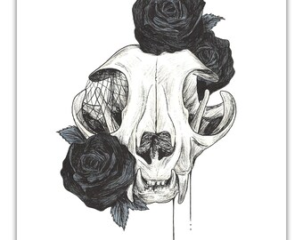 Gothic Art Print - "Venus"-  8x10 - Witchy - Cat Skull Decor - Dark Art - by Carrie Anne Hudson