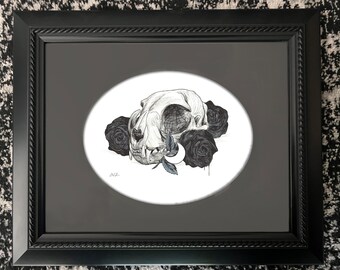 Cat Skull Framed Original Illustration - Dark Gothic Art - Spooky Handmade Home Decor - by Carrie Anne Hudson