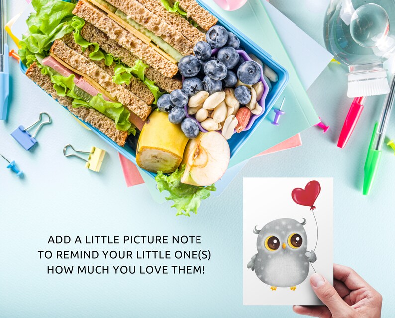 May include: A cute gray owl holding a red heart balloon. The owl has big eyes and a sweet expression. The card is perfect for adding a personal touch to a lunchbox or gift.