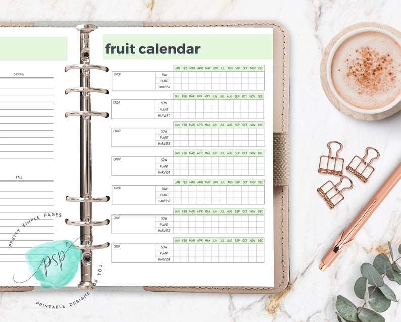 Op de afbeelding: Een printbare fruitkalenderplanner in een lichtgroen en beige kleurenschema. De kalender is ontworpen voor een standaardgrote map en bevat een sectie voor elke maand van het jaar. De kalender heeft kolommen voor de teelt, het zaaien, het planten en de oogstdata.