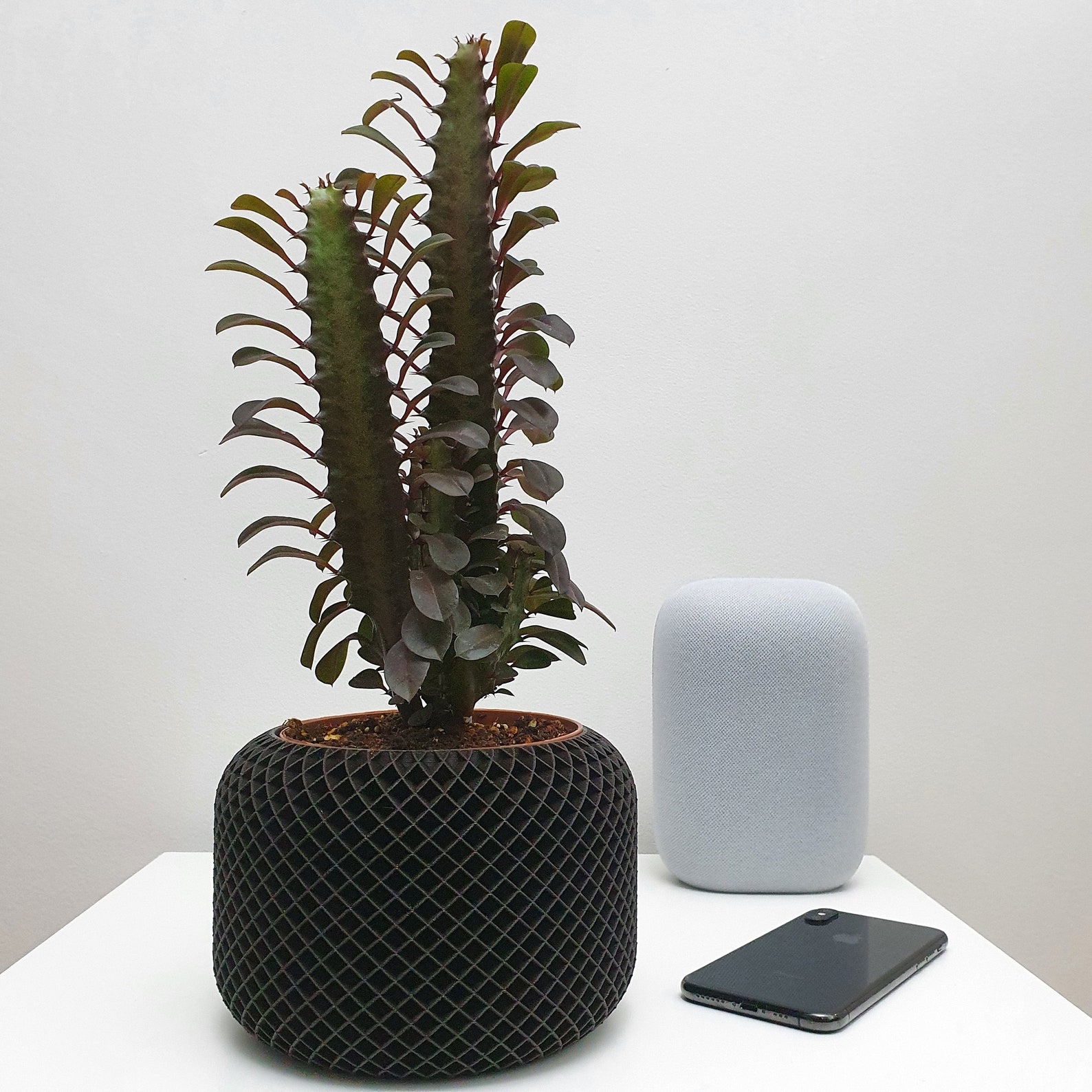 Indoor Plant Pot Willow Ebony Etsy