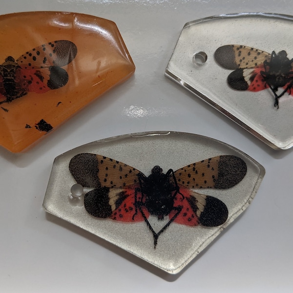 Spotted lantern fly in resin for pendant, ornament, keychain etc