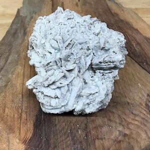 May include: A large, white, rough-textured selenite crystal cluster. The crystal is a natural formation with a rosette shape.