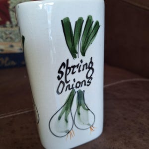May include: White ceramic jar with a green and white hand-painted design of spring onions. The jar says "Spring Onions" in black cursive writing.
