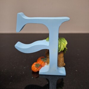 Enesco Peter Rabbit / Timmy Willie Alphabet Figurine Letter 'F' - Etsy