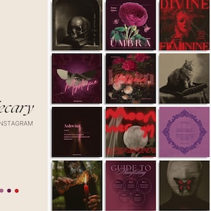 Evoking the haunted charm of forgotten potions and pressed herbs, this dark aesthetic Canva bundle includes over 235 templates in story, square, and portrait format—ideal for fantasy authors, dark brands, and mystical creators.