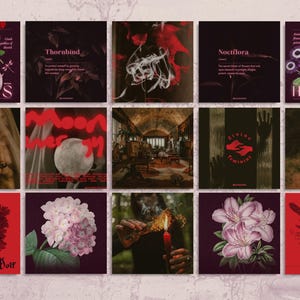 Bring haunting beauty to your brand with this witchy social media bundle. Featuring 235+ Canva templates inspired by antique apothecaries, botanical engravings, and occult symbology, it’s perfect for mystical entrepreneurs.