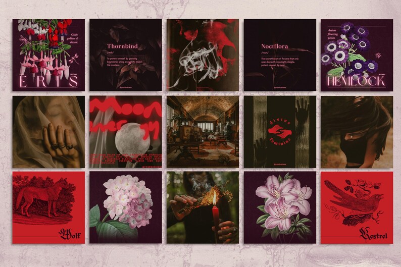 Bring haunting beauty to your brand with this witchy social media bundle. Featuring 235+ Canva templates inspired by antique apothecaries, botanical engravings, and occult symbology, it’s perfect for mystical entrepreneurs.