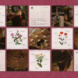 Evoking the haunted charm of forgotten potions and pressed herbs, this dark aesthetic Canva bundle includes over 235 templates in story, square, and portrait format—ideal for fantasy authors, dark brands, and mystical creators.