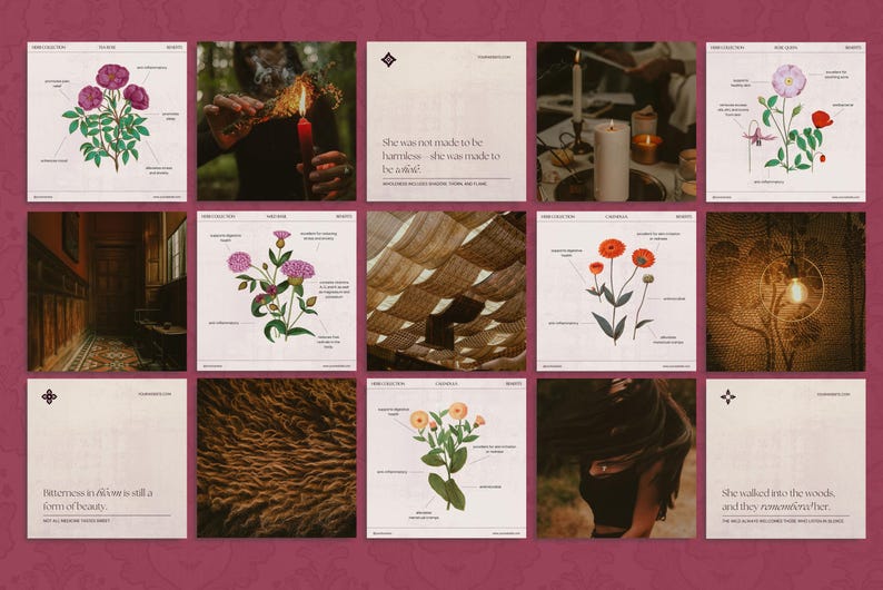 Evoking the haunted charm of forgotten potions and pressed herbs, this dark aesthetic Canva bundle includes over 235 templates in story, square, and portrait format—ideal for fantasy authors, dark brands, and mystical creators.