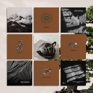 Transform your Instagram feed with the "Spiritual Coach" bundle. This set of 180 templates includes square posts, portrait posts, and stories, offering endless creative possibilities for content creators and entrepreneurs.
