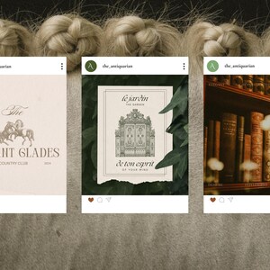 The Antiquarian offers a touch of grandeur with 300 Canva templates that exude class and sophistication. Designed for year-round use, they’re ideal for creating a polished, cohesive brand presence online.