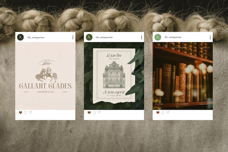 The Antiquarian offers a touch of grandeur with 300 Canva templates that exude class and sophistication. Designed for year-round use, they’re ideal for creating a polished, cohesive brand presence online.