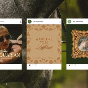 Discover the art of timeless design with The Antiquarian. Crafted for intellectuals, lifestyle gurus, and vintage enthusiasts, this Canva bundle features 300 templates in a heritage green, nautical blue, and cream palette.
