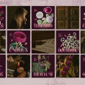 Evoking the haunted charm of forgotten potions and pressed herbs, this dark aesthetic Canva bundle includes over 235 templates in story, square, and portrait format—ideal for fantasy authors, dark brands, and mystical creators.