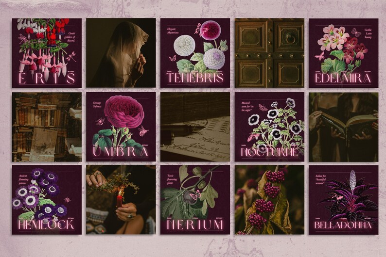 Evoking the haunted charm of forgotten potions and pressed herbs, this dark aesthetic Canva bundle includes over 235 templates in story, square, and portrait format—ideal for fantasy authors, dark brands, and mystical creators.