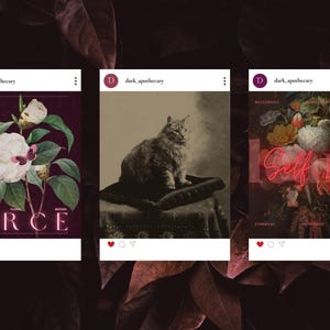 Evoking the haunted charm of forgotten potions and pressed herbs, this dark aesthetic Canva bundle includes over 235 templates in story, square, and portrait format—ideal for fantasy authors, dark brands, and mystical creators.
