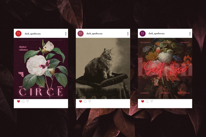 Evoking the haunted charm of forgotten potions and pressed herbs, this dark aesthetic Canva bundle includes over 235 templates in story, square, and portrait format—ideal for fantasy authors, dark brands, and mystical creators.