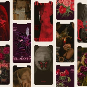 Perfect for witches, healers, and poets—this bundle of 235+ dark apothecary templates brings your content to life through moody textures, vintage herbs, and gothic elegance. Tell your story in shadow and ink.