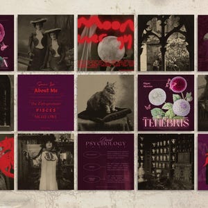 Evoking the haunted charm of forgotten potions and pressed herbs, this dark aesthetic Canva bundle includes over 235 templates in story, square, and portrait format—ideal for fantasy authors, dark brands, and mystical creators.