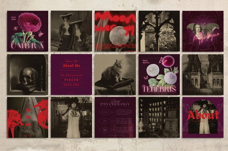 Evoking the haunted charm of forgotten potions and pressed herbs, this dark aesthetic Canva bundle includes over 235 templates in story, square, and portrait format—ideal for fantasy authors, dark brands, and mystical creators.