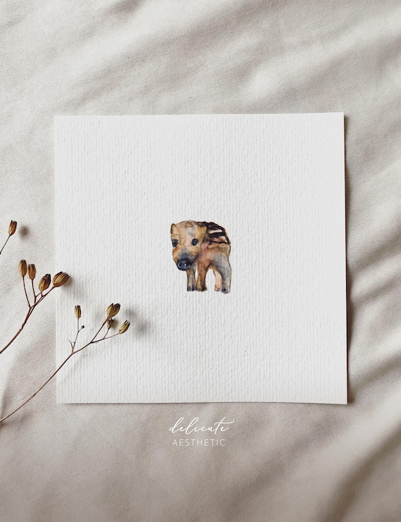 Wild Boar Youngling - Miniature Art Print - Print after my original watercolor | DelicateAesthetic