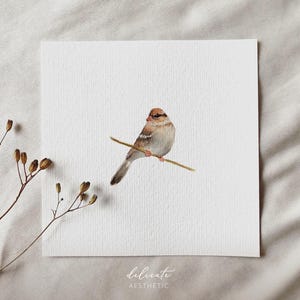 Sperling im Herbst - Miniatur Kunstdruck - Druck nach meinem Original Aquarell | DelicateAesthetic