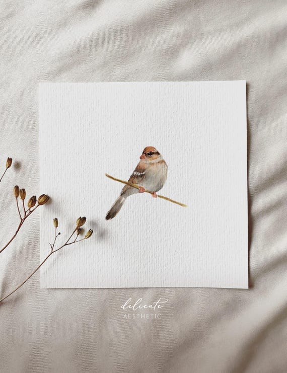 Sparrow in Autumn - Miniature Art Print - Print after my original watercolor | DelicateAesthetic