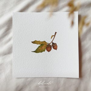 eiken tak | Miniatuur Kunstdruk | Afdruk naar mijn originele aquarel | DelicateEsthetiek