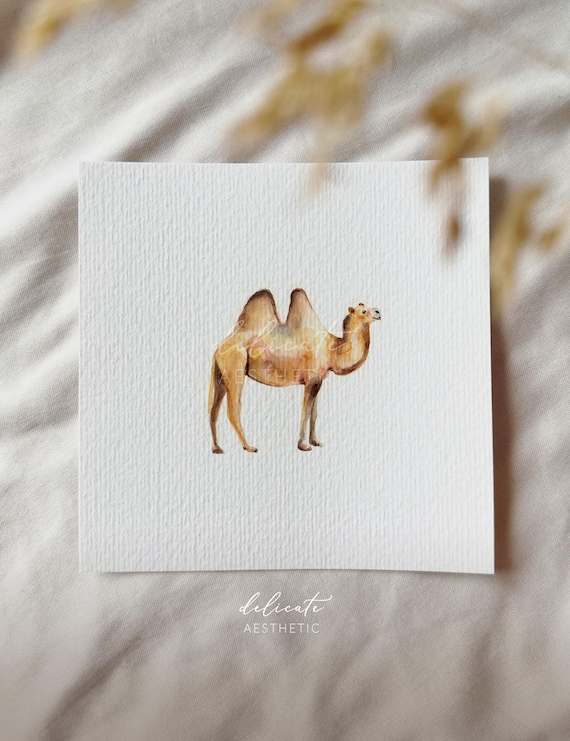 Camel - Miniature Art Print - Print from my Original Watercolor | DelicateAesthetic