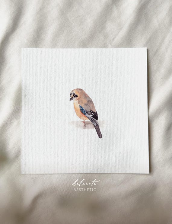 Mysterious forest dweller: Jay - Miniature art print - Print after my original watercolor | DelicateAesthetic