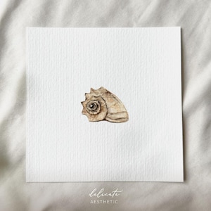 Puede incluir: Un primer plano de una pequeña concha de color marrón claro con un delicado patrón en espiral. La concha está sobre un fondo blanco con el texto "delicate aesthetic" escrito debajo.