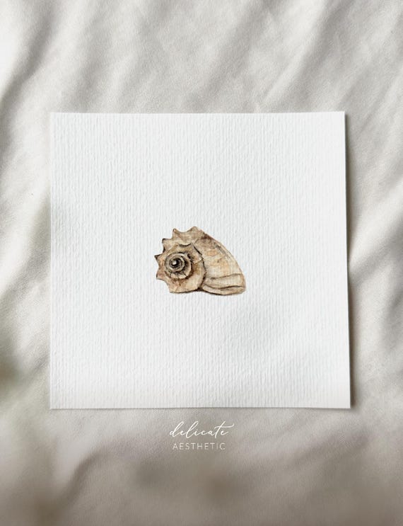 Mysterious Sea Treasures: Shell - Miniature Art Print - Print from my Original Watercolor | DelicateAesthetic