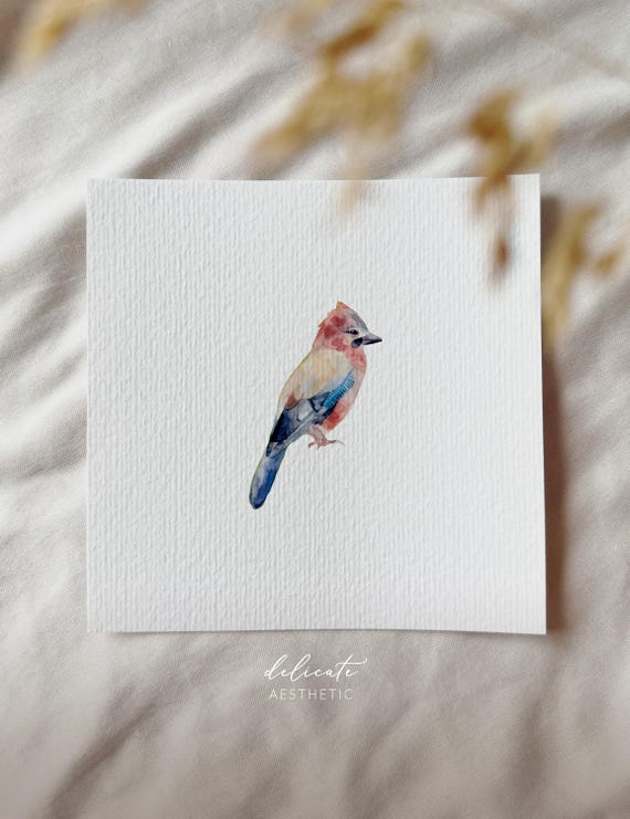 Watercolor Jay | Miniature Art Print | Print from my Original Watercolor | DelicateAesthetic