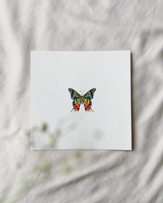 Madagascar Sunset Moth | Miniature Watercolor Art Print | Print based on my original watercolor | DelicateAesthetic
