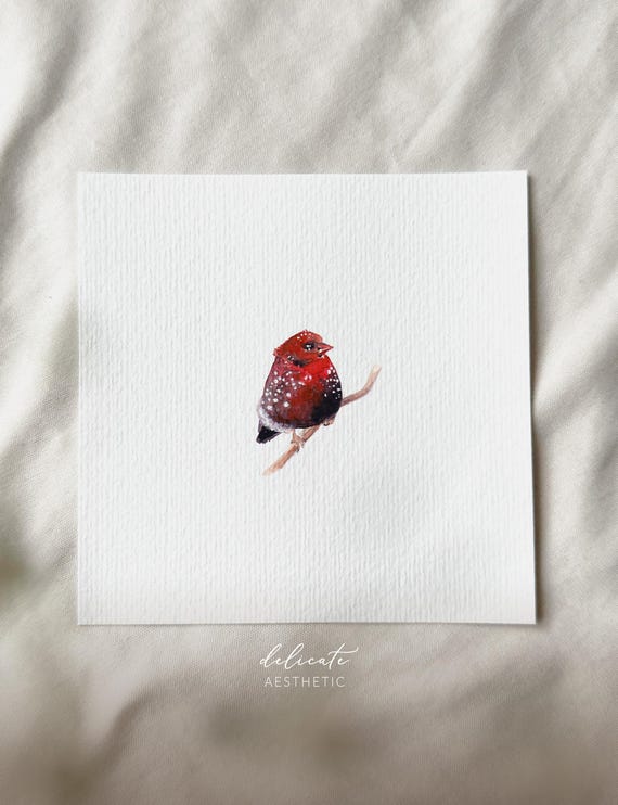Flying Jewel: Tiger Finch - Miniature Art Print - Print from my Original Watercolor | DelicateAesthetic