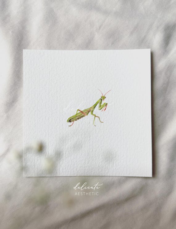 Praying Mantis - Miniature Art Print - Print from my Original Watercolor | DelicateAesthetic