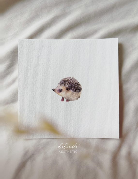 Hedgehog - Miniature Art Print - Print after my original watercolor | DelicateAesthetic