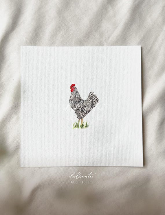 Sparrowhawk Chicken | Miniature Art Print | Print from my Original Watercolor | DelicateAesthetic
