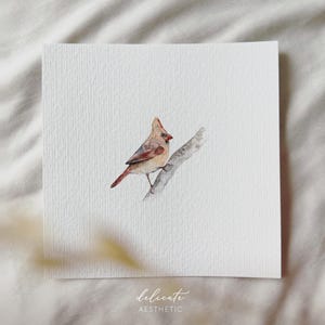 Uccello cardinale - Stampa artistica in miniatura - Stampa basata sul mio acquerello originale | Estetica delicata