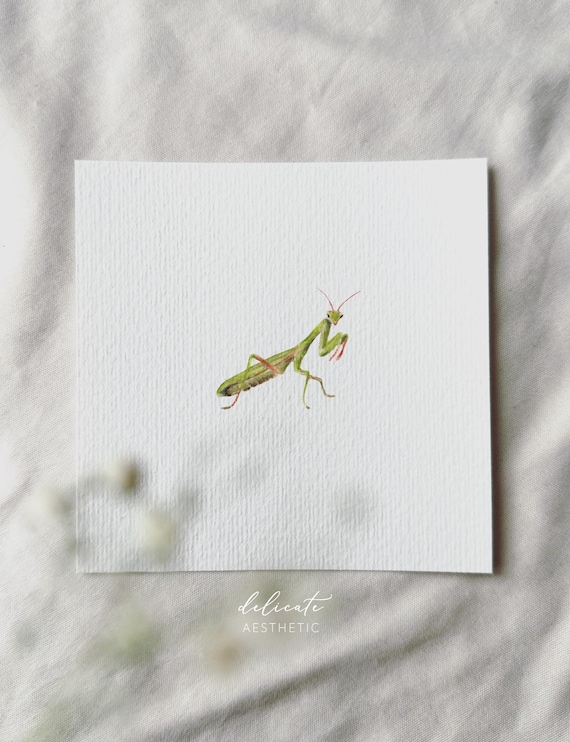 Praying Mantis - Miniature Art Print - Print from my Original Watercolor | DelicateAesthetic
